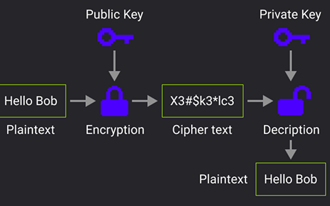 Private.Ki PGP encryption used throughout the application for email, chat, and attachments